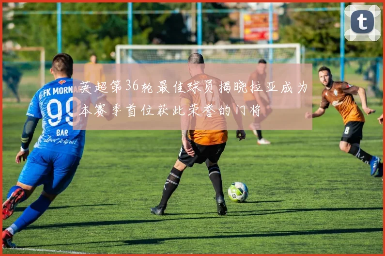 英超第36轮最佳球员揭晓拉亚成为本赛季首位获此荣誉的门将